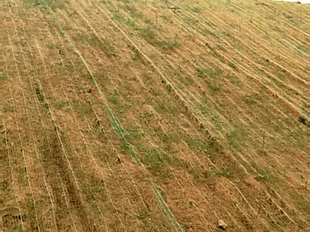 环保草毯出现不长草的现象应该怎么解决？