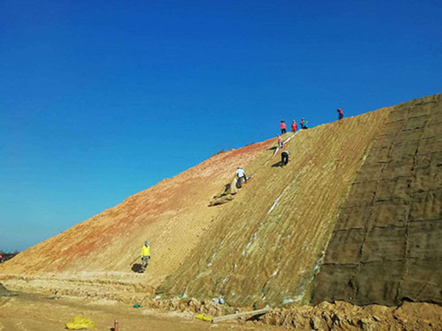 环保草毯的特点有哪些？