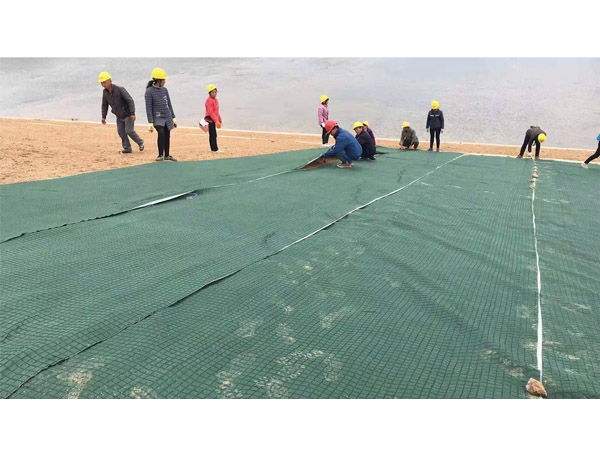 抗冲植物纤维毯